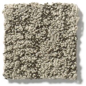 Dreamy Taupe Carpet Material Sample